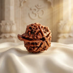 GANESH RUDRAKSHA Unique