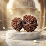 GAURI SHANKAR 15 Mukhi RUDRAKSHA Unique