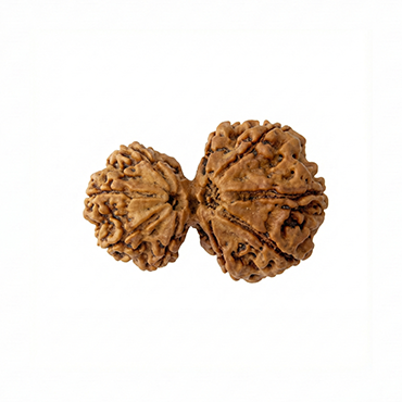 Garbh Gauri Collector