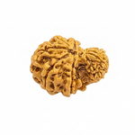 Garbh Gauri Premium