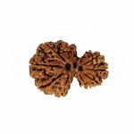 Garbh Gauri Unique