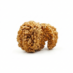 Kamal Rudraksha Collector