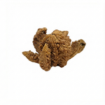 Kamal Rudraksha Regular