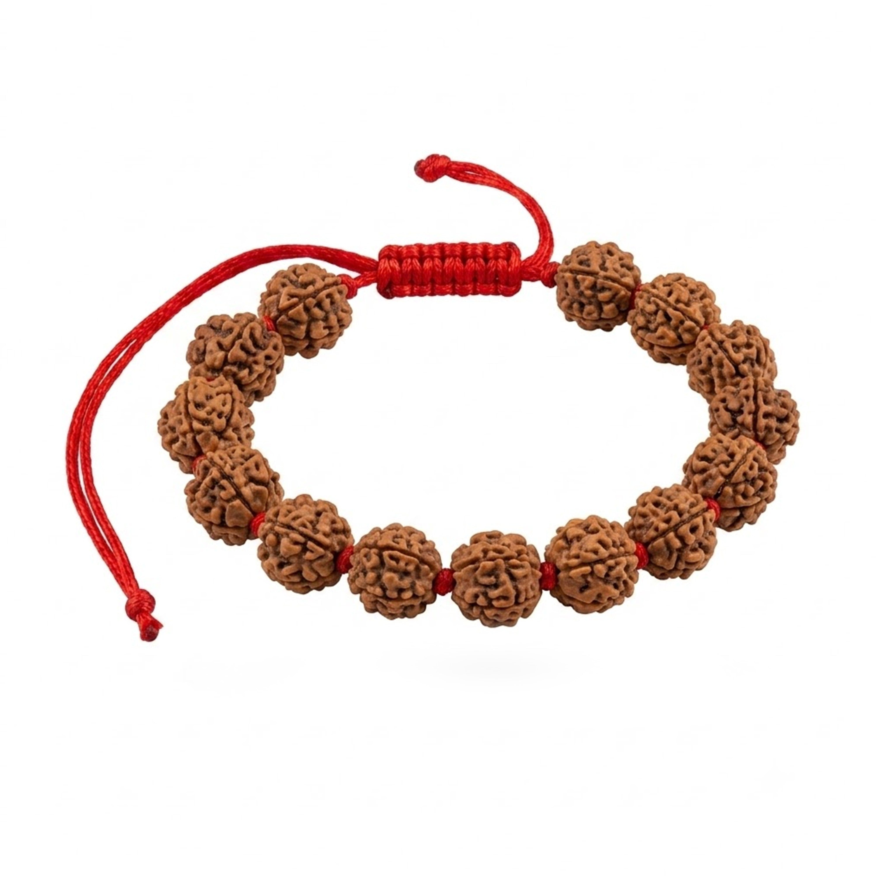 4 Mukhi Rudraksh Bracelet with Knot