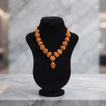Sidh Nepali Rudraksha Mala Collector