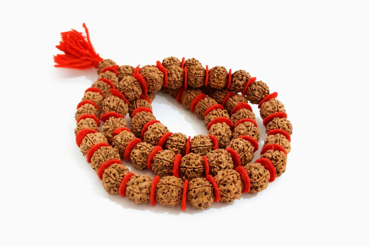 5 Mukhi Rudraksha Mala (12-15mm)
