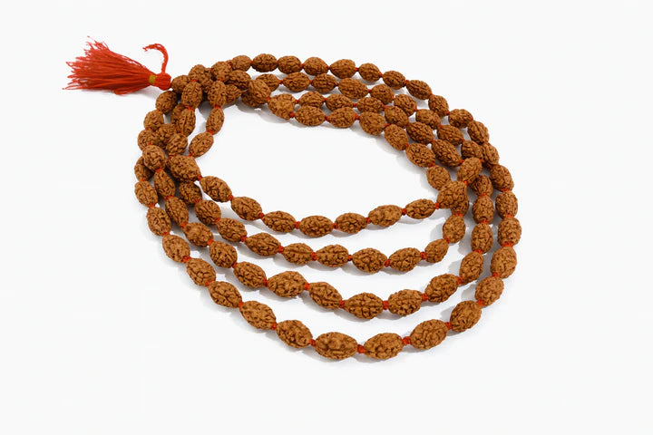 2 Mukhi Rudraksha Mala