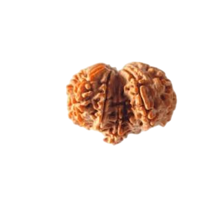 Gauri Shankar Ganesh Collector