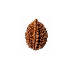 2 MUKHI South India Collector