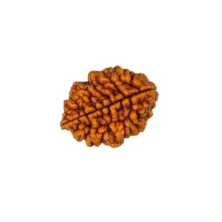 2 MUKHI South India Premium