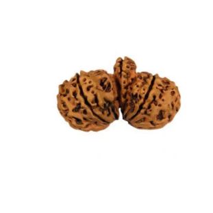 Gauri Shankar Ganesh Unique