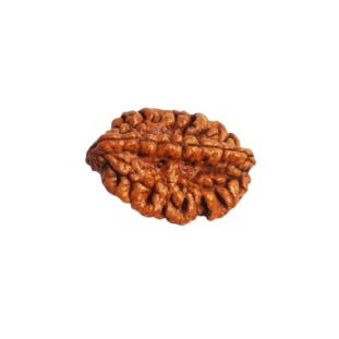 2 MUKHI South India Regular