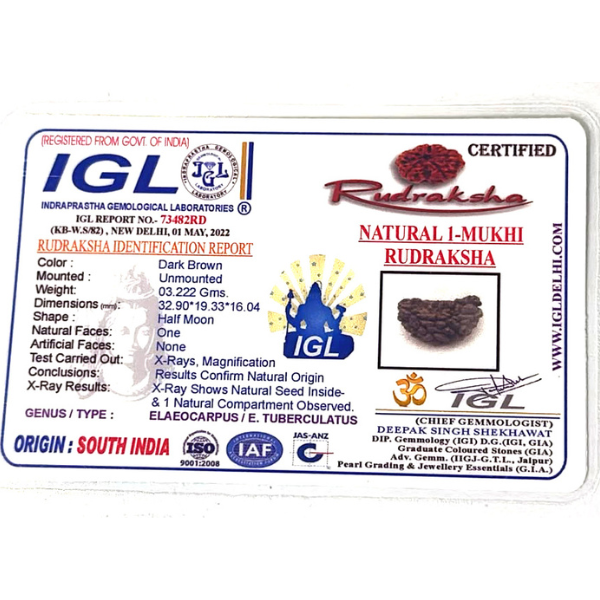 1 Mukhi Kaju Rudraksh (Premium) South Indian