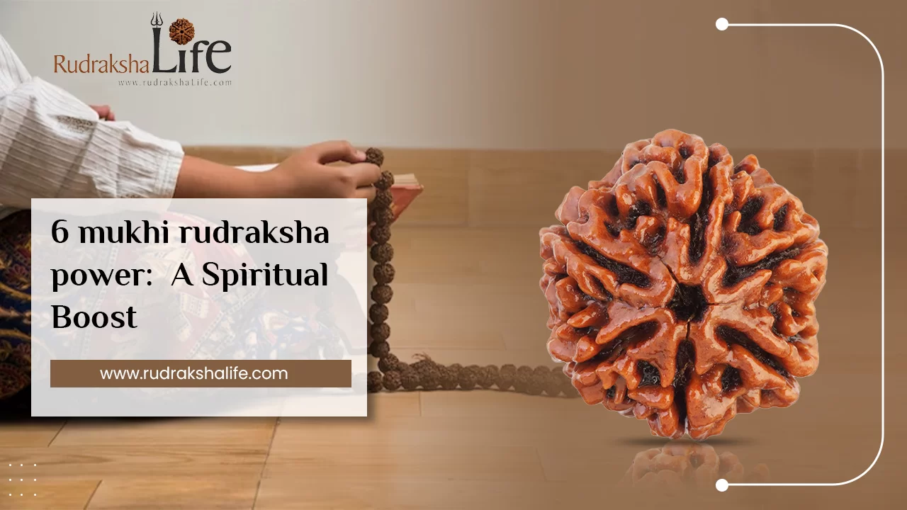 6 Mukhi Rudraksha Power: A Spiritual Boost
