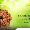 8 Mukhi Rudraksha Benefits And Its Wearing Rules