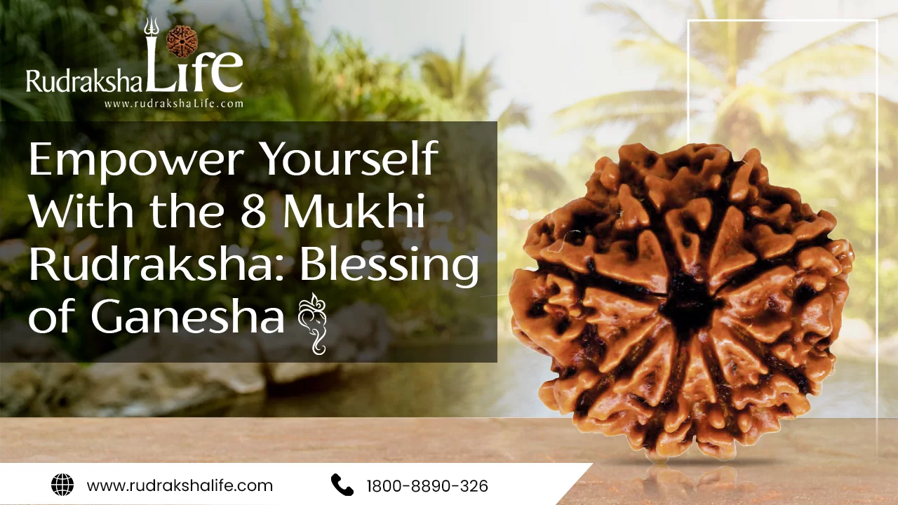 Empower Yourself With the 8 Mukhi Rudraksha: Blessing of Lord Ganesha