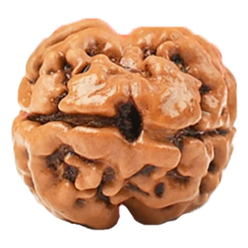 2 MUKHI Nepali Unique