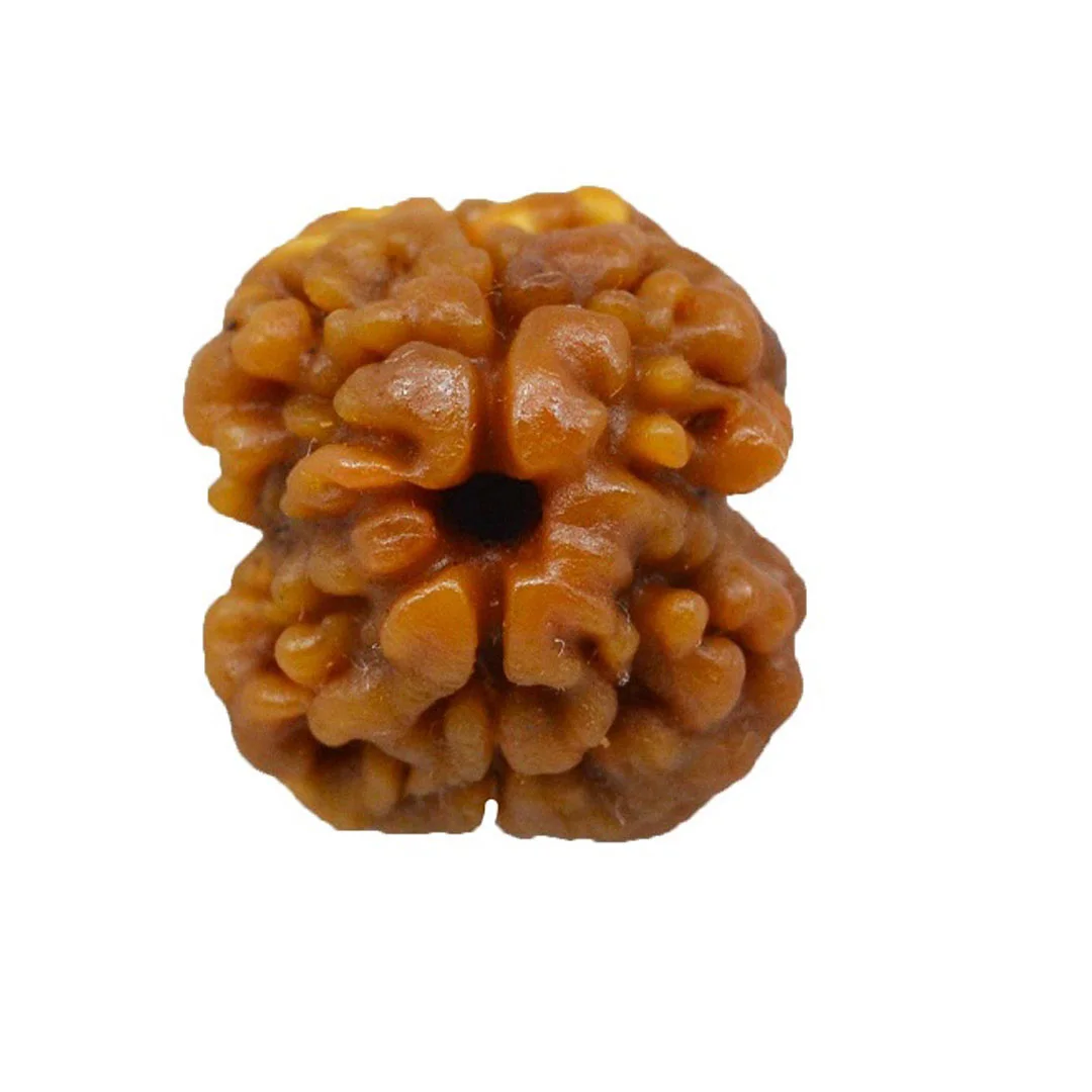 2 MUKHI Nepali Collector