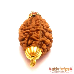 2 MUKHI South India Premium