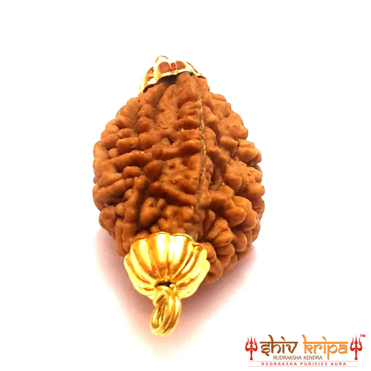 2 MUKHI South India Premium