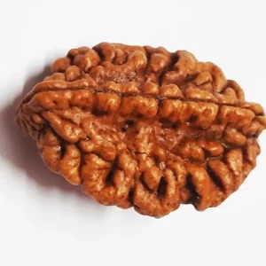 2 MUKHI South India Regular