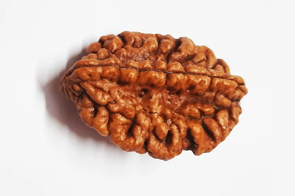 2 MUKHI South India Regular